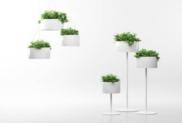 צמחיה ביתית: כל הפריטים השווים לגנן החובב