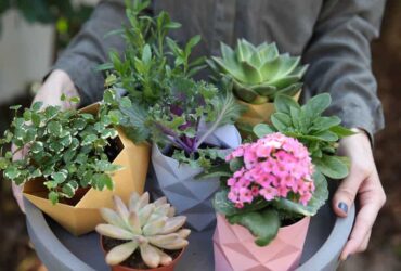 מקפלים את הבית: עיצובים בהשראת אמנות האוריגמי