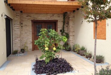 גינה לי חסכונית: כך תעצבו את הגינה גם בתקציב מוגבל