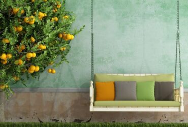 דרך מרפסת: איך להפוך מרפסת פשוטה לפינת חמד