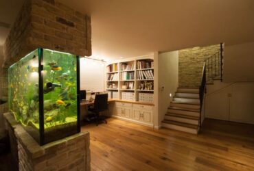 הגוזלים עזבו, החדרים נשארו