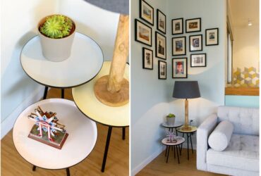 דבר אלי בסוקולנטים: הצמח הירוק והבשרני כובש את הבית