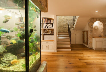 מהפך במרתף: משחקן משנה לכוכב