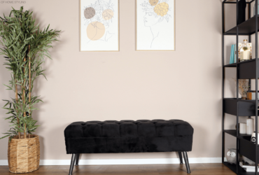 מג'יק מומנטס: לא דמיינתם מה אפשר לעשות עם ספסל