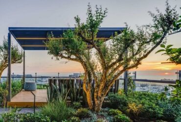 מוציאים לחצר: הפרגולות והסוככים שיהפכו את החצר שלכם לוואו