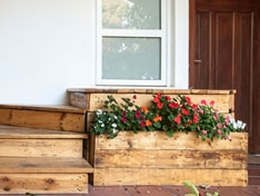 הכי לא שתול ושכח: 10 דברים שלא ידעתם על טיפול בגינה