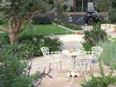 בגינה או במרפסת: כך תגדלו צמחי תבלין בבית