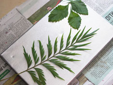 DIY: כך תכינו בעצמכם תמונה חורפית מעוצבת