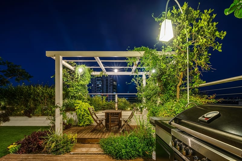 צמחייה מטפסת