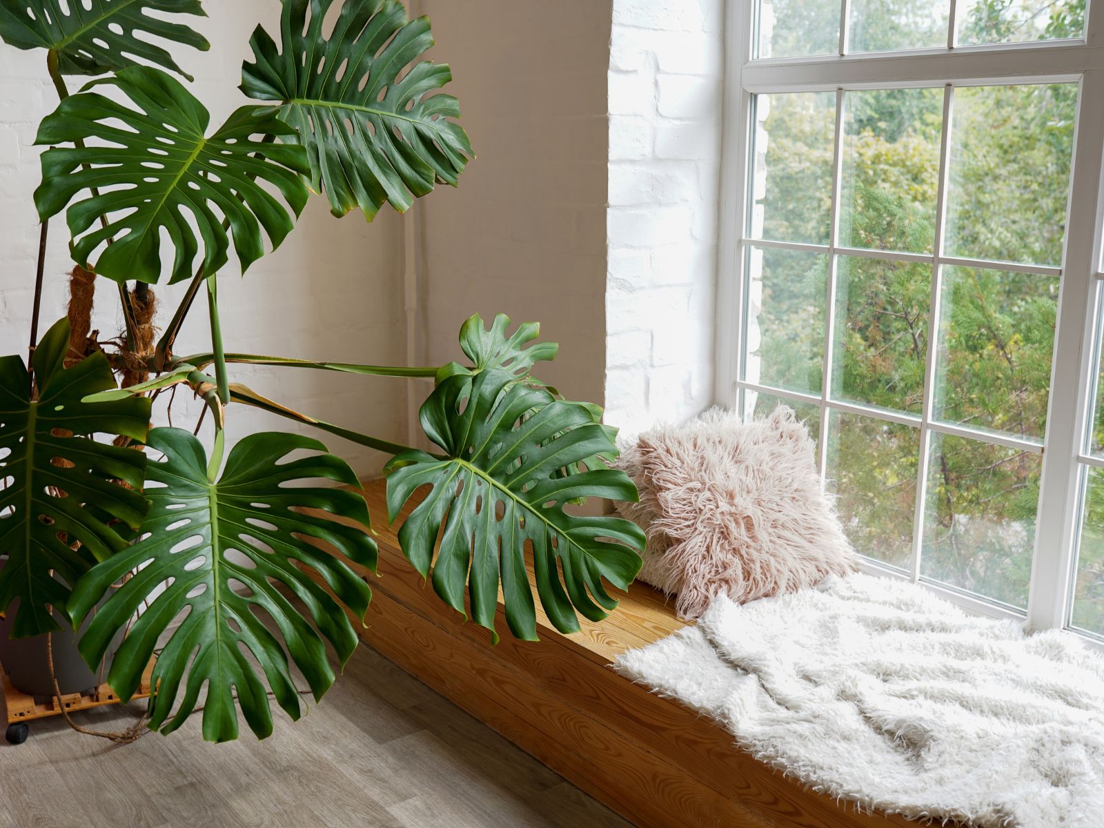 פינת ישיבה בבית