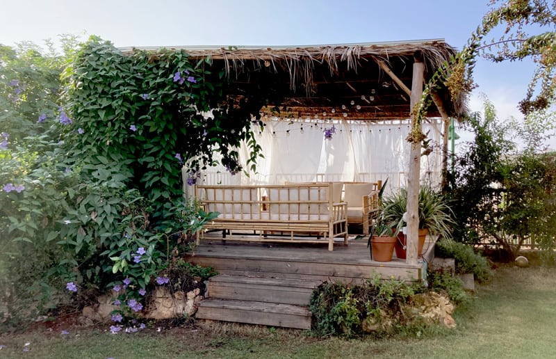 פרגולה מכפות תמרים