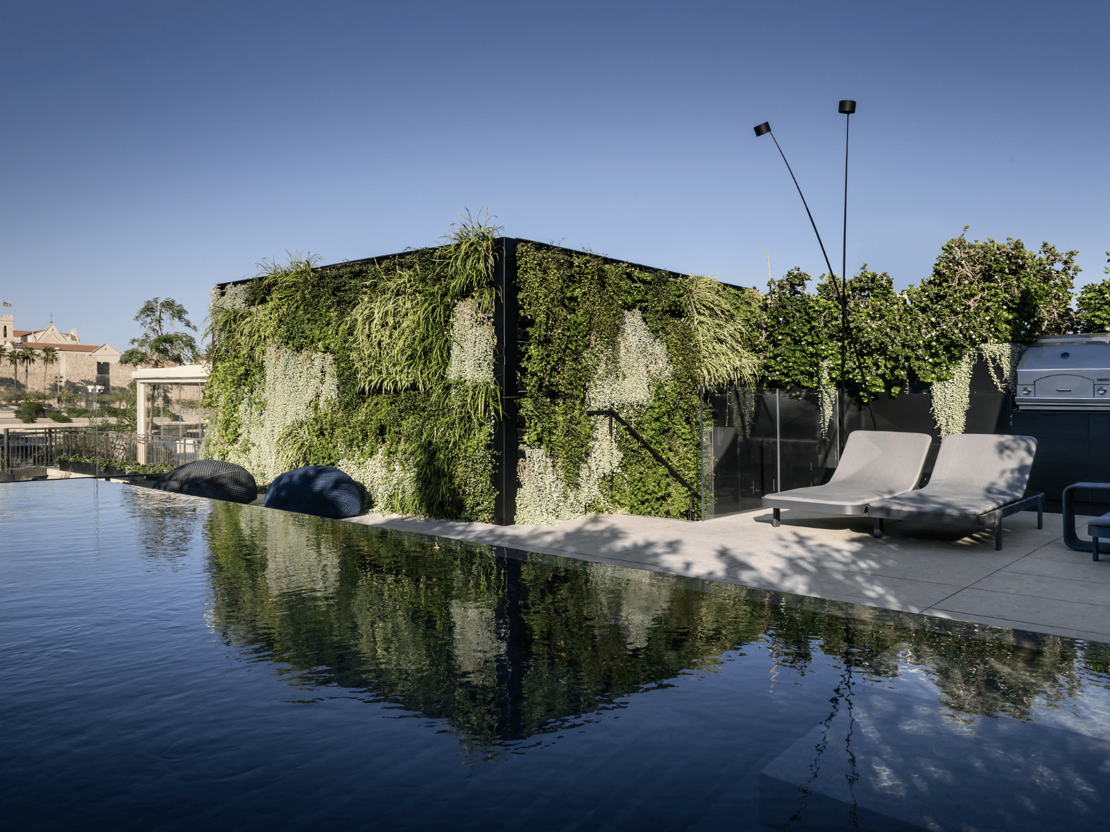 בריכה על הגג