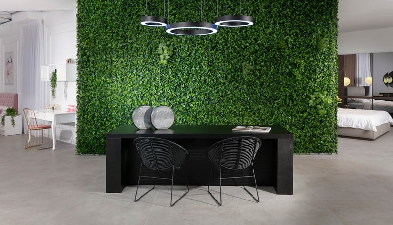 שולחן עבודה וקיר ירוק