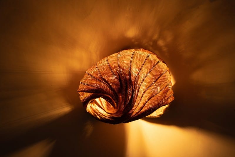 כונכיית אור כונכיית אור