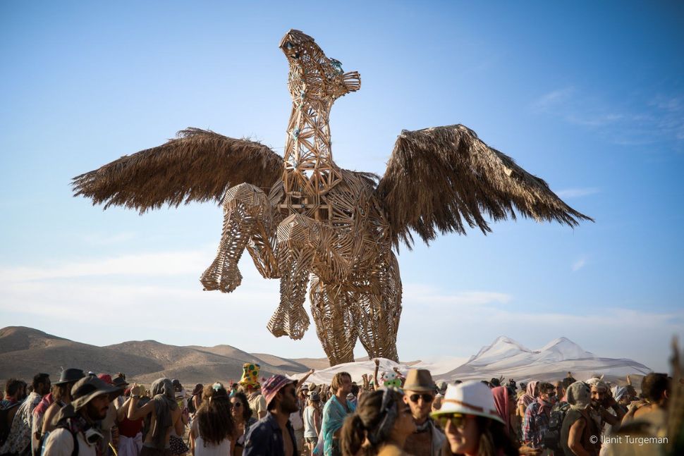 הגמל המעופף