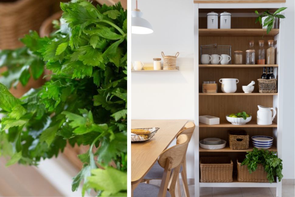 פינת אוכל וסטייליניג