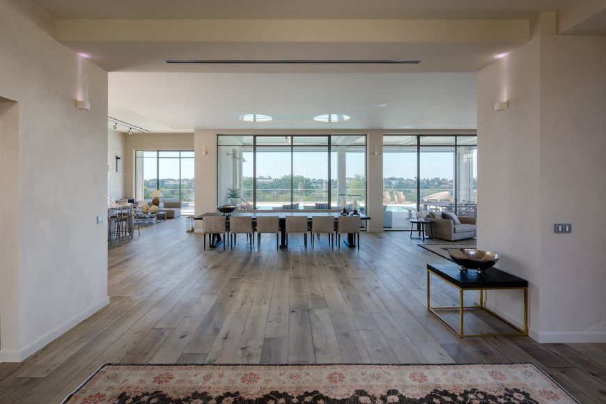 טובה דוד & צילה רייזר