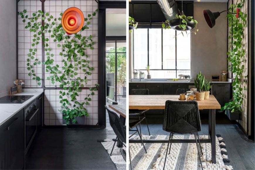 הרבה אור וירק במטבח