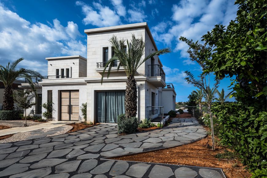 טובה דוד & צילה רייזר