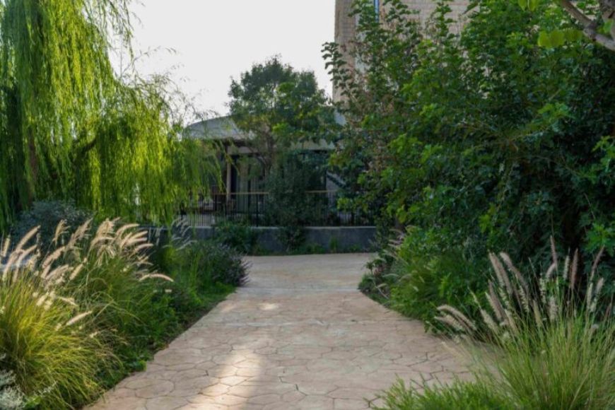 אפרת קיסוס מקליס