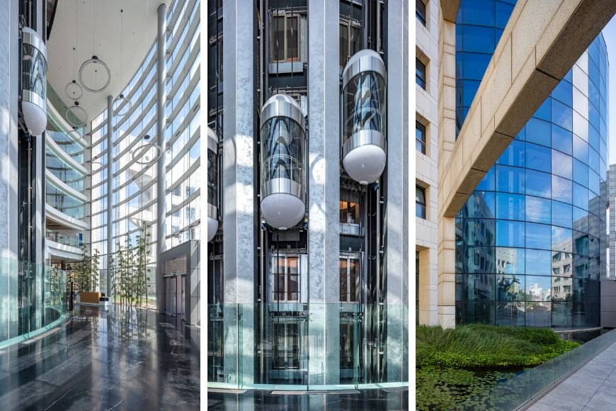 טובה דוד & צילה רייזר