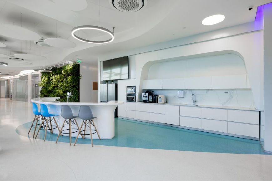 טובה דוד & צילה רייזר