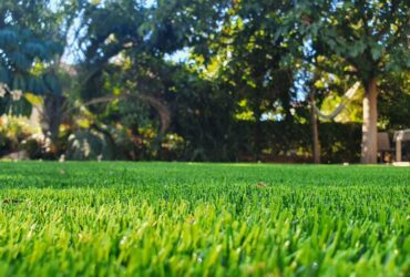 עשרה צעדים לעיצוב הגינה עם דשא סינטטי