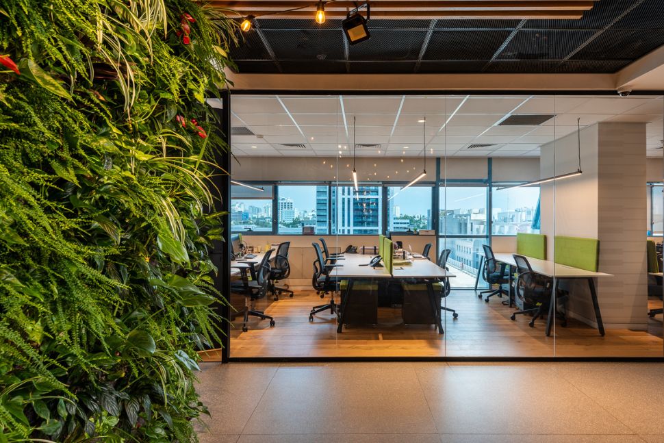 אופו ספייס במשרד