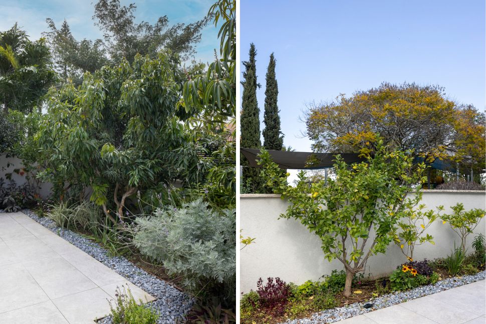 גינה עם רחבה