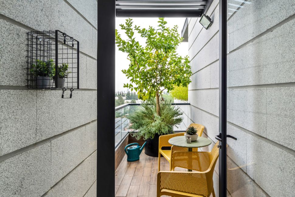 פטיו חיצוני