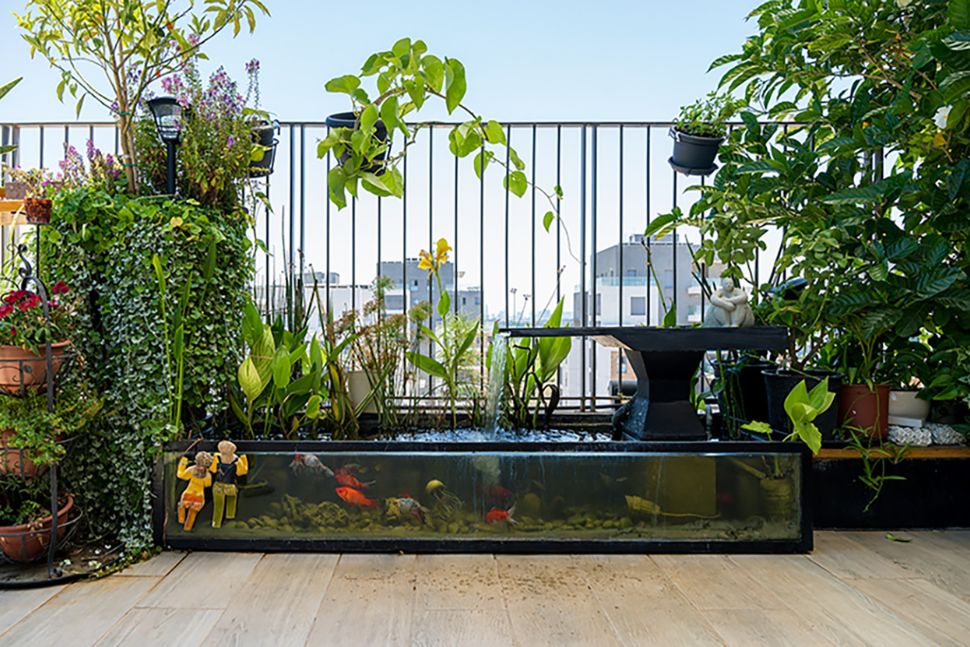 למנט מים במרפסת