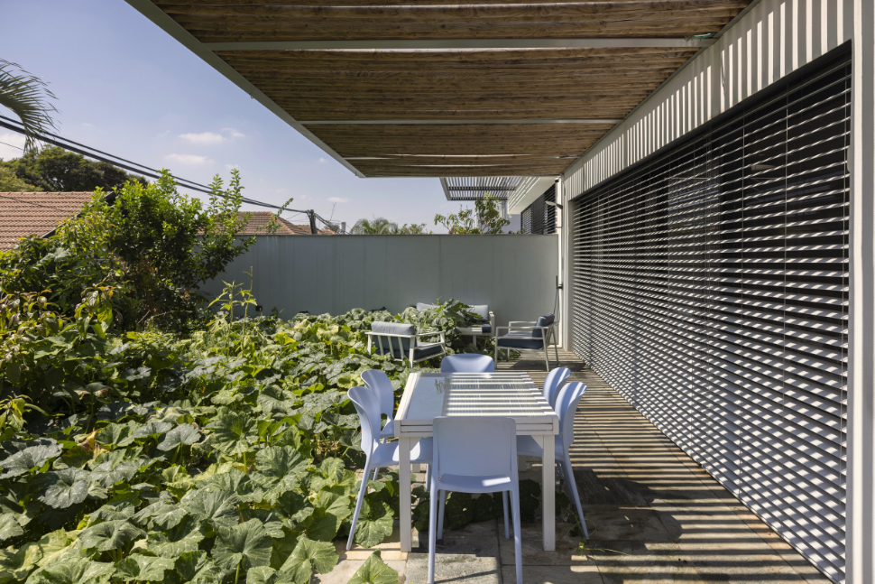 חזית אחורית