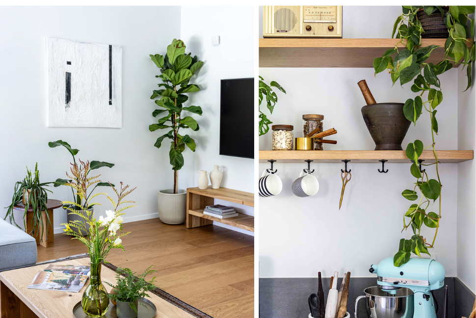 פינה במטבח ובסלון