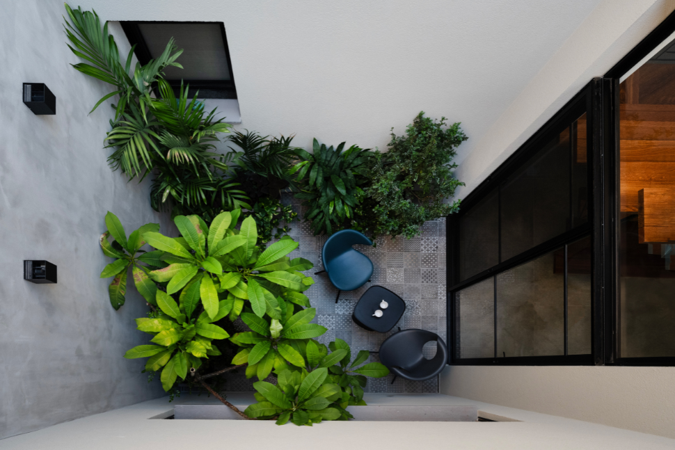 מראה מלעמלה של הפטיו