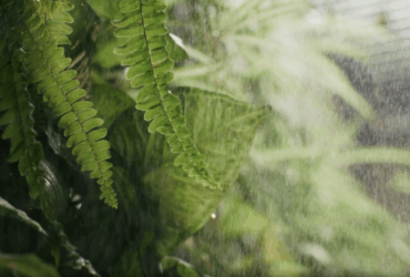 יריד צבע טרי 2025: אירוע להפצת תרבות בגובה העיניים ולעידוד יצירה ישראלית