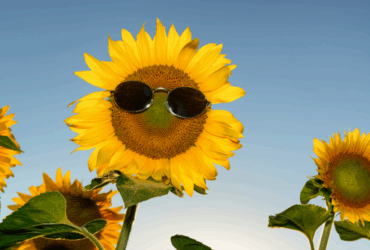 בקיץ השנה חו"ל נוחת אצלכם בבית: עיצוב באווירה של חופשה