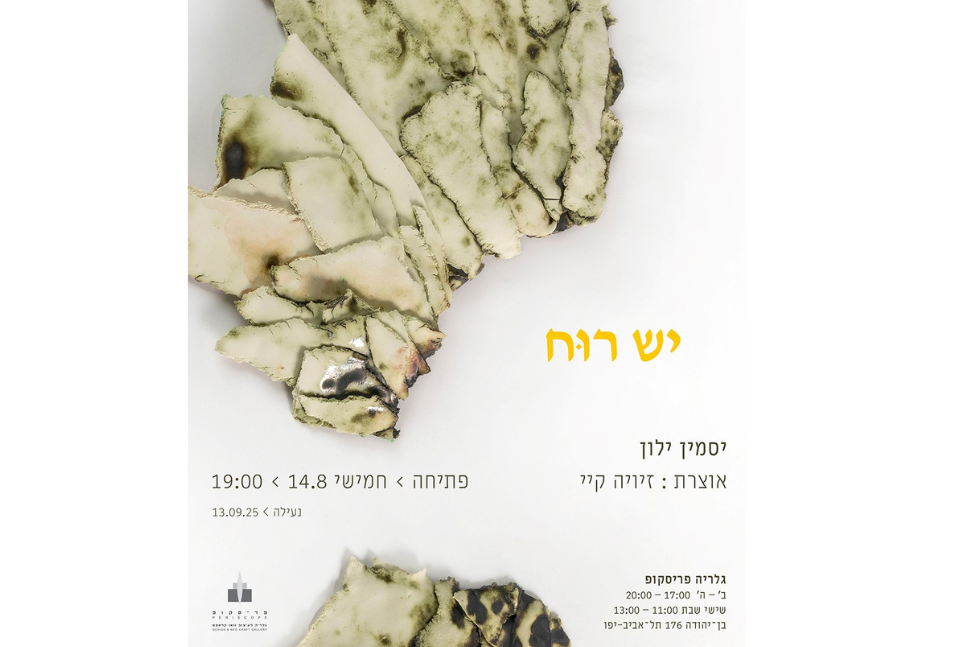 תמונה לתוכן הכתבה (11)