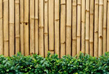 במבוק – מה יש בו שמתאים ליסודות בניין ועד מנה טעימה בצלחת