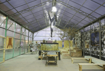 מה זה זומו ? מוזיאון נייד בישראל – מקור השראה