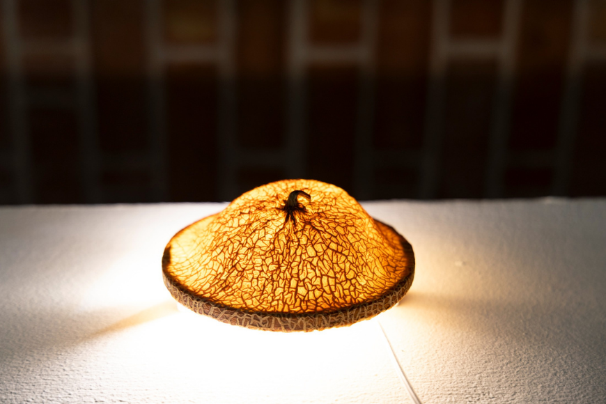 מנורה ממלון